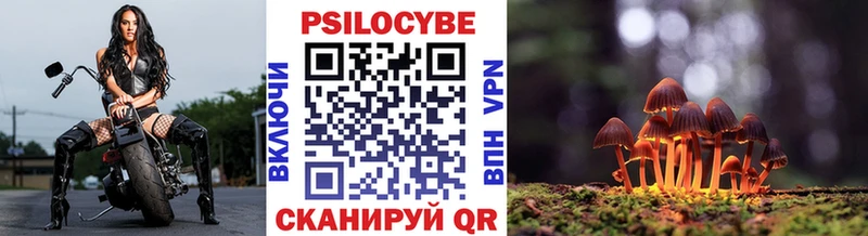 Псилоцибиновые грибы мухоморы  Геленджик 